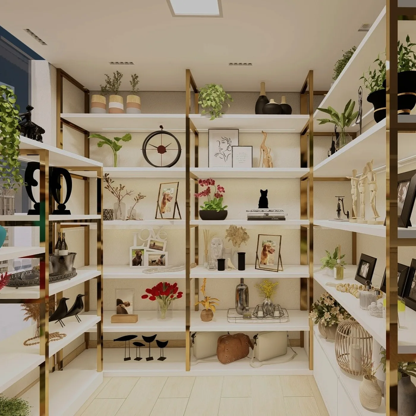 Interior de loja projetada